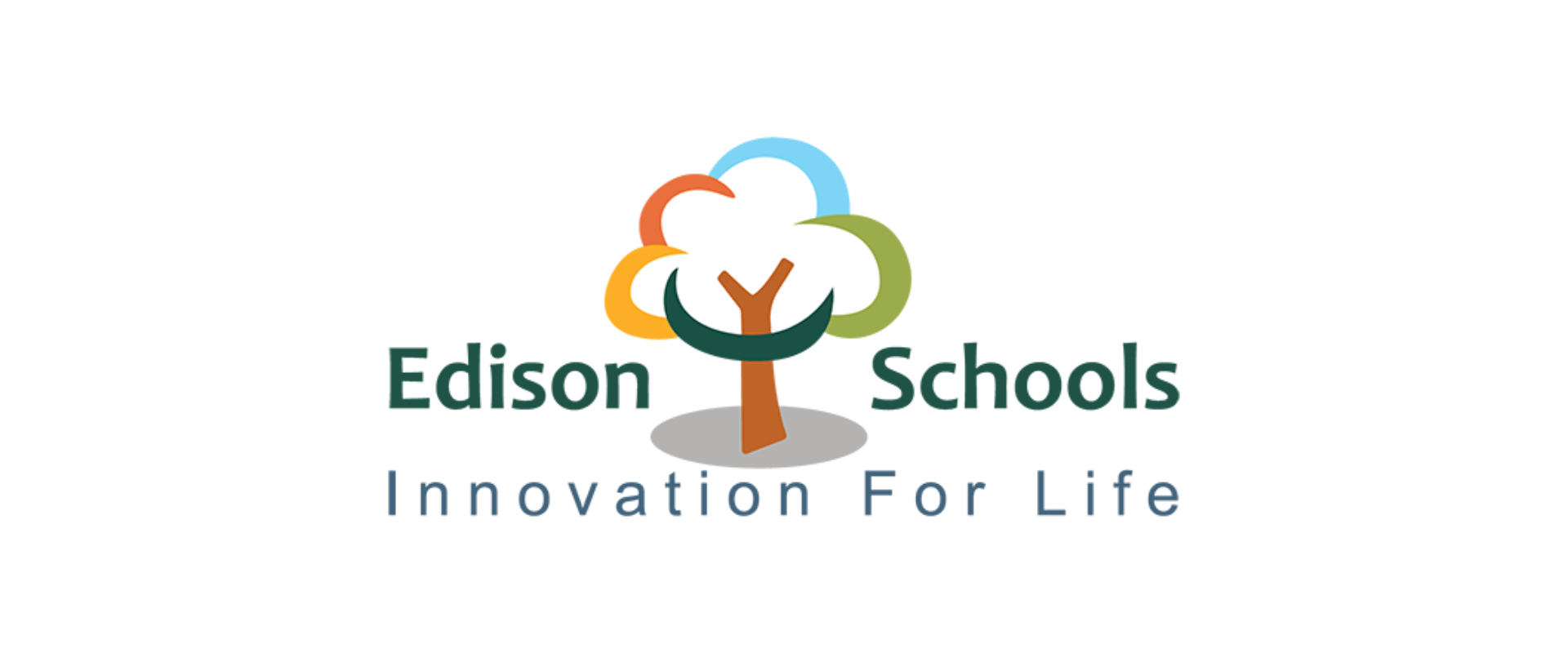 Flexidata Edison School logo