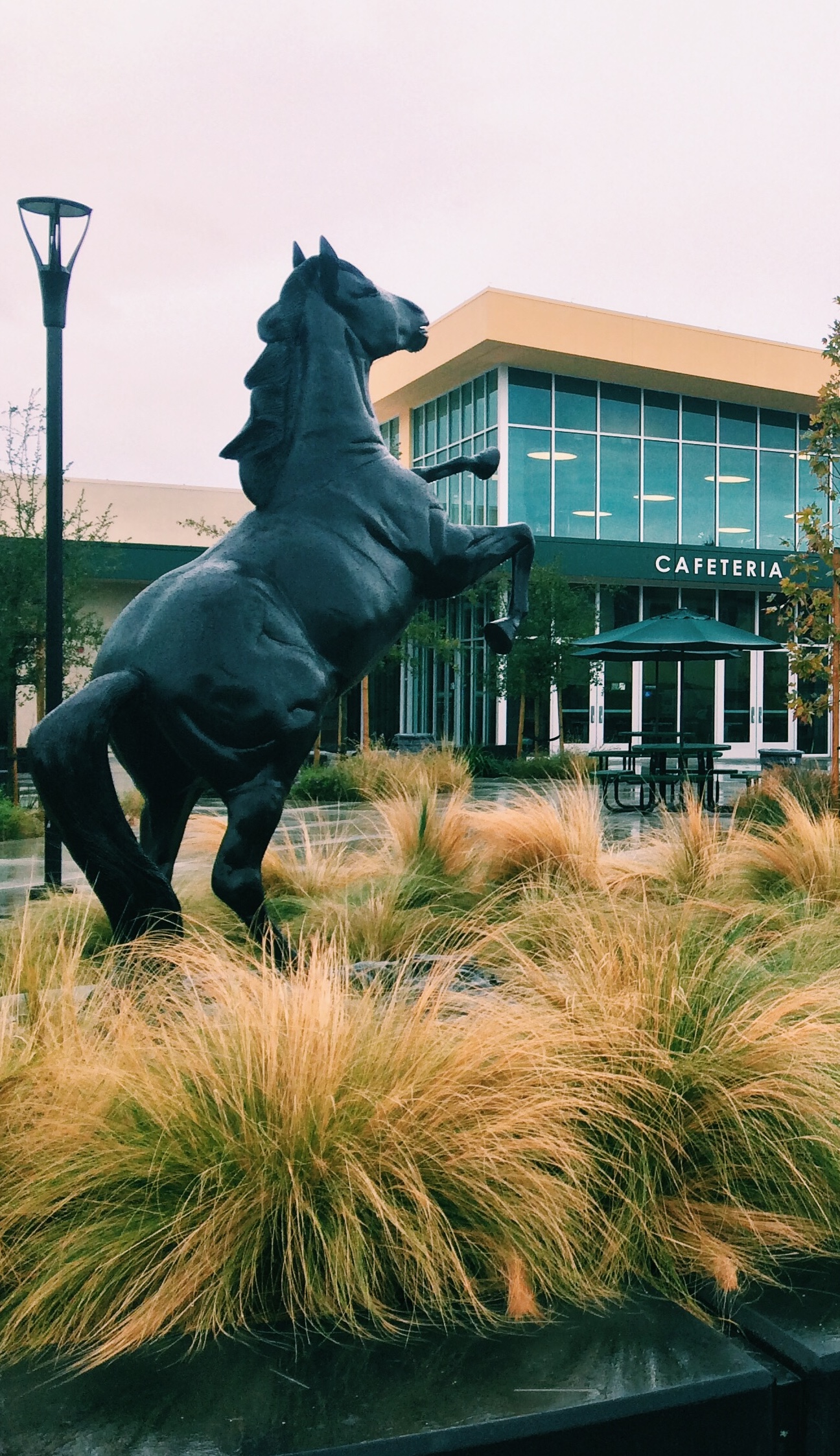 Câu chuyện ứng dụng Wayground tại Trường Homestead